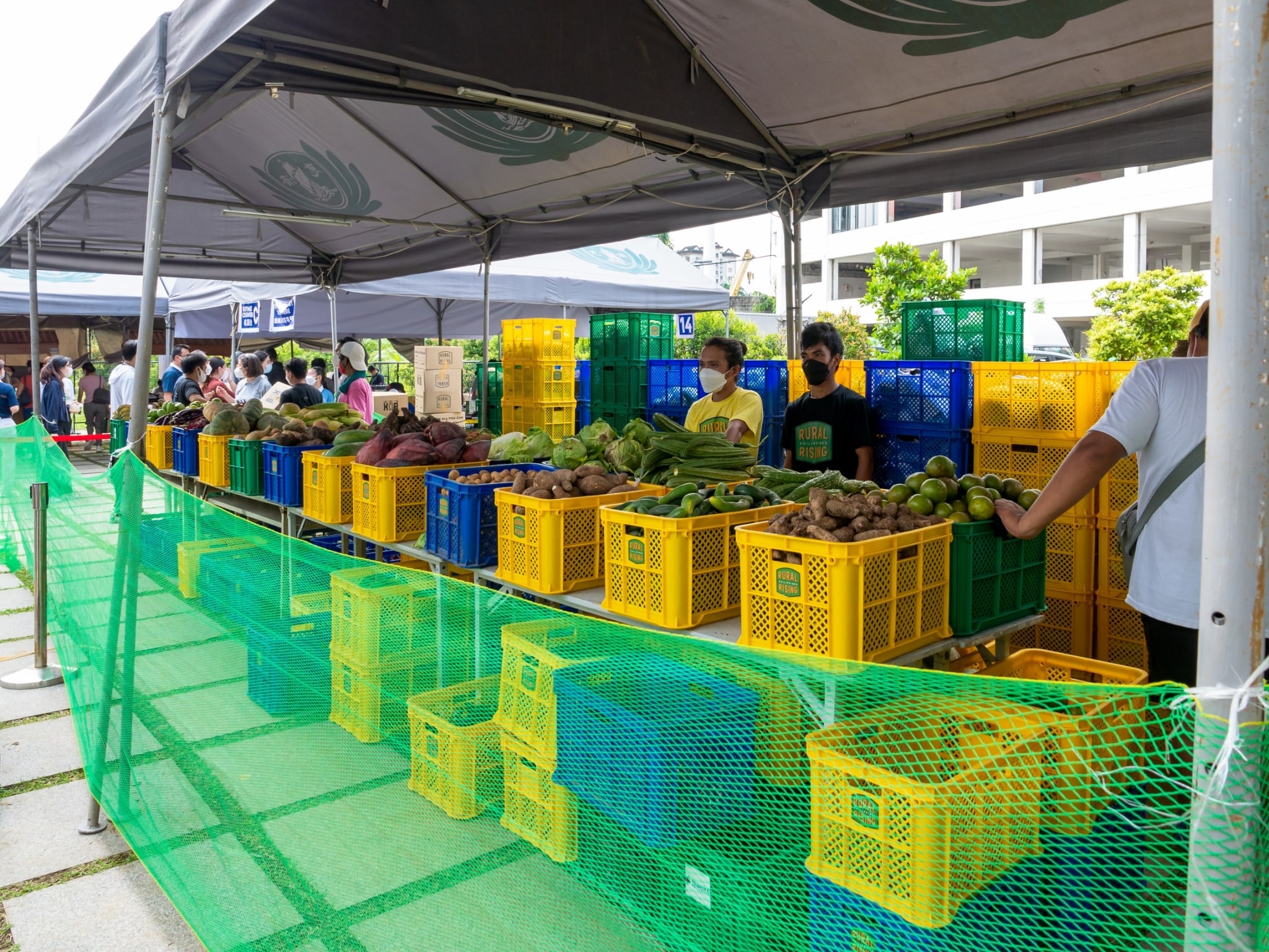 Fiesta Verde ’22 shoppers had over 20 fruits and vegetables to choose from in Rural Rising’s Box All You Can.【Photo by Daniel Lazar】