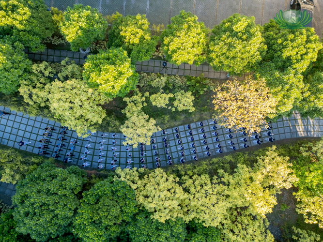 An aerial view of the garden where participants in the walking meditation slowly make their way to the front of the Jing Si Abode.