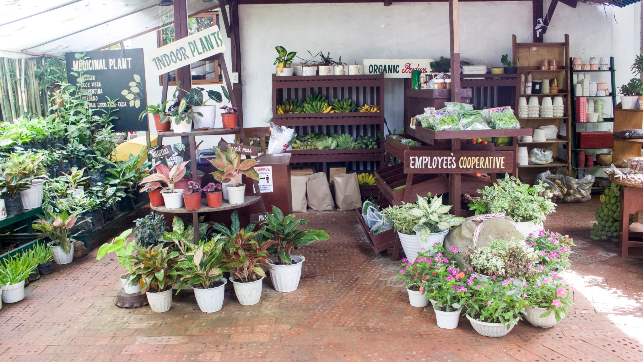 Before going home, guests can purchase plants and veggies at the Employee’s Cooperative.【Photo by Matt Serrano】