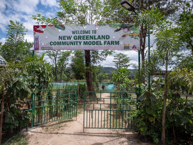 Even in a highly urbanized setting like Quezon City, vegetable farming is very much possible. The New Greenland Community Model Farm is located in Bagong Silangan, a barangay leading to San Mateo, Rizal. 【Photo by Daniel Lazar】