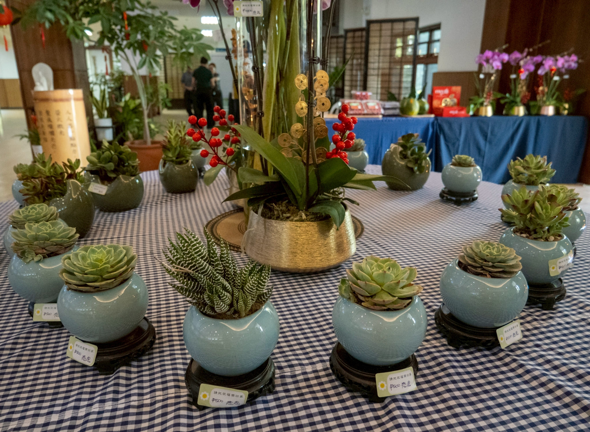 Succulents are said to symbolize enduring love, strength, and resilience.