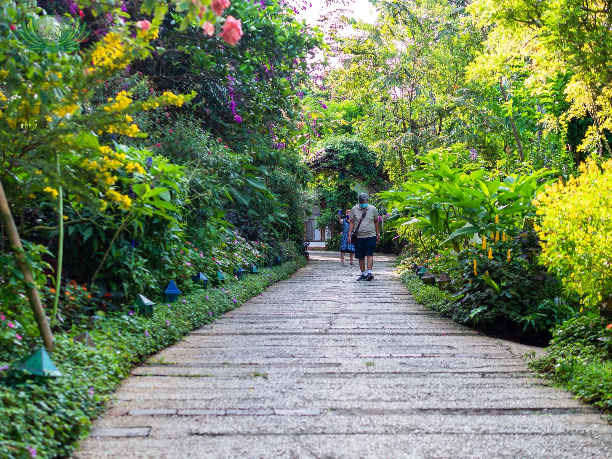 The blossoming walkway to Sonya's restaurant.【Photo by Daniel Lazar】