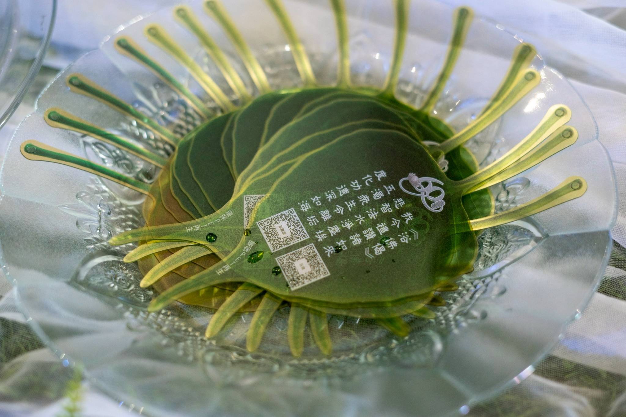 As a gesture of blessing, participants received Bodhi leaves symbolizing a purified mind and the cultivation of wholesome thoughts to help build a pure land on Earth.
