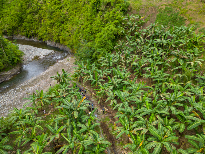 Aerial view of one of the banana planting sites in Sitio Napisulan, Talaingod, Davao del Norte. 【Photo by Harold Alzaga】