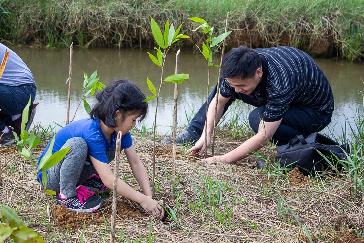 This father and daughter spend a meaningful family time planting trees together. 【Photo by Marella Saldonido】