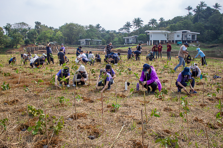 The volunteers begin to plant a variety of native species of trees in the Philippines, namely, Apitong, Bani, Balitbitan, Banaba, Narra, Teak, White Lauan, Red Lauan, and Yakal. 【Photo by Marella Saldonido】