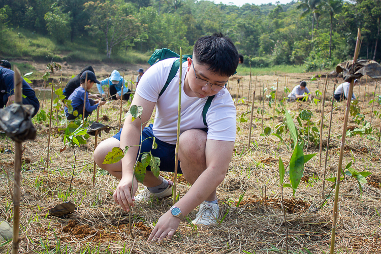 Volunteers from outside the foundation were also welcomed to participate in the tree-planting project. 【Photo by Marella Saldonido】