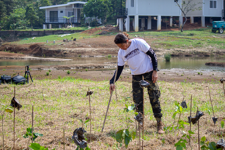 FEED Partnerships Director Anne Bakker carefully checks the newly planted seedlings. 【Photo by Marella Saldonido】