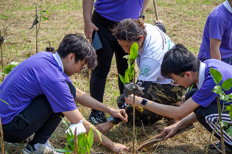 FEED Partnerships Director Anne Bakker (in white) assists Tzu Chi Youth volunteers in planting the tree seedlings. 【Photo by Marella Saldonido】