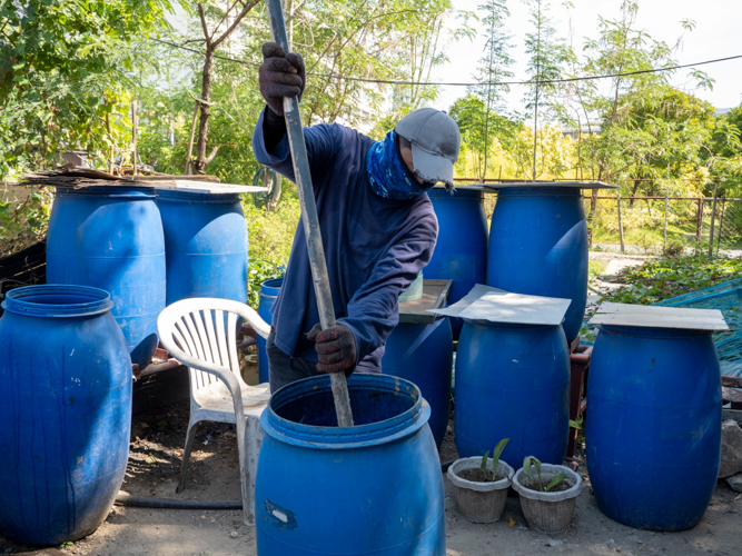 By stirring the compost every three days, the fruit and vegetable peelings are well incorporated with the garden soil. 【Photo by Matt Serrano】
