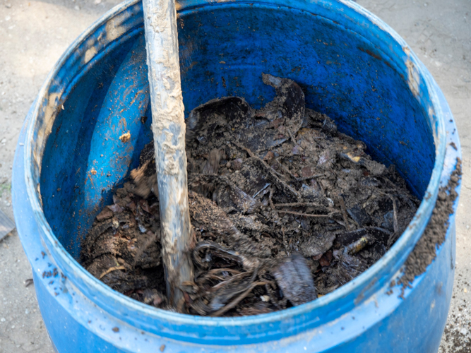 The banana peels are now well incorporated with the garden soil, and ready to be stored for three to four months for the decomposition to take place. 【Photo by Matt Serrano】