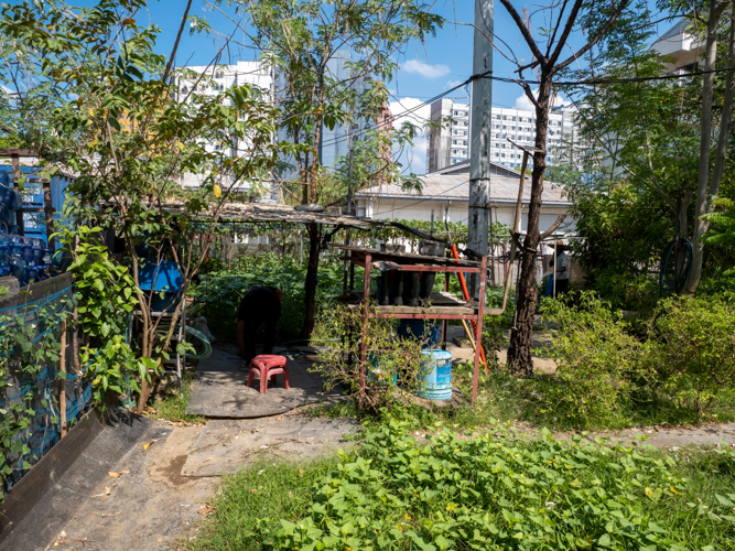 The composting garden at BTCC in Sta. Mesa Manila houses a variety of decorative plants and nutritious vegetables. 【Photo by Matt Serrano】