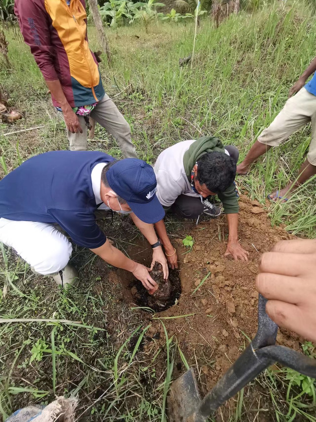 A Tzu Chi volunteer helps a farmer plant a banana seedling into the ground. The hope is that this seedling provides not just fruit but a sustainable livelihood for poor farmers. 