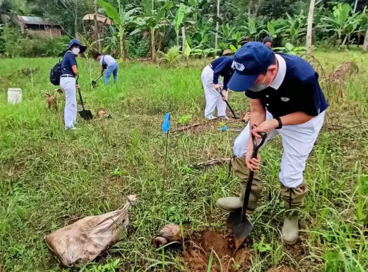 Volunteers begin digging in the 52-hectare site that can accommodate over 50,000 banana trees. 
