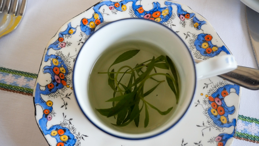 Freshly-made tarragon tea