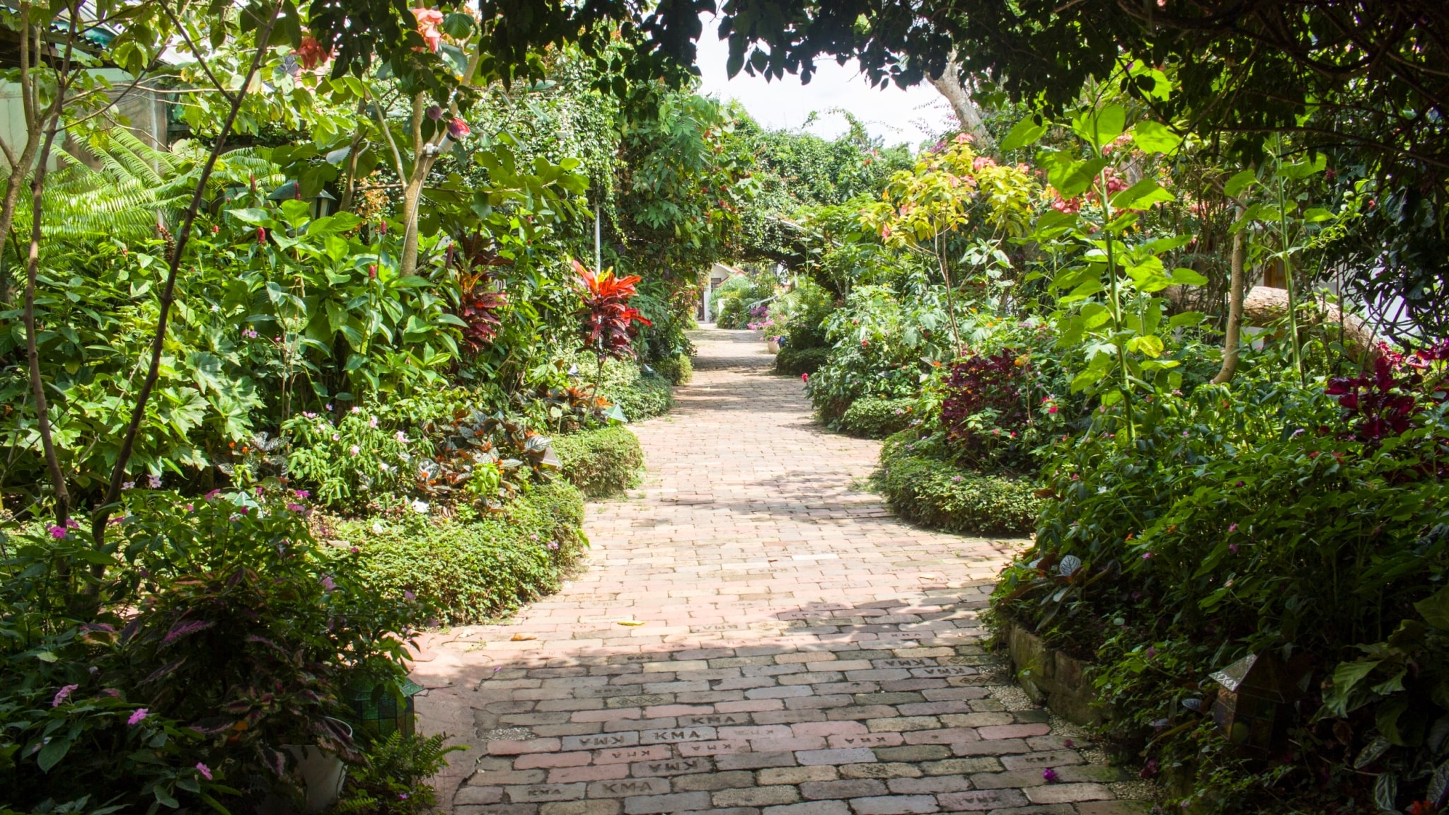A variety of plants fill up the garden’s pathway from every direction. 【Photo by Matt Serrano】