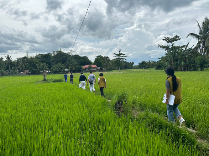 During a home visit, Tzu Chi volunteers traverse through rice fields to reach the residence of scholarship applicant in Sta. Barbara, Iloilo. 【Photo by Harold Alzaga】