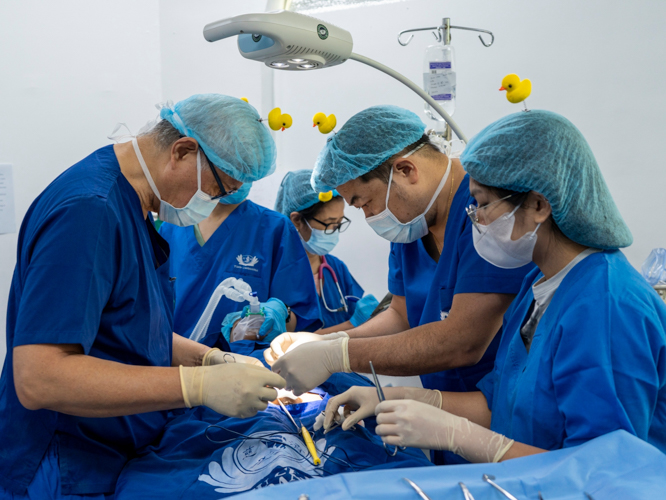 TIMA doctors, led by Dr. Josefino Qua, perform hernia surgery on Pedro Piagoda Jr. 【Photo by Harold Alzaga】