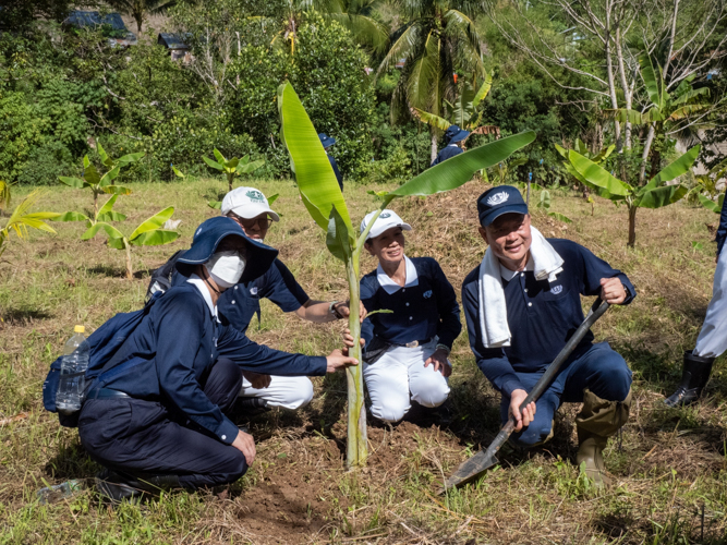 Volunteers plant additional cardava banana trees. 【Photo by Matt Serrano】